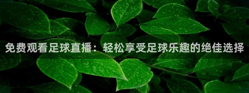 免费观看足球直播：轻松享受足球乐趣的绝佳选择
