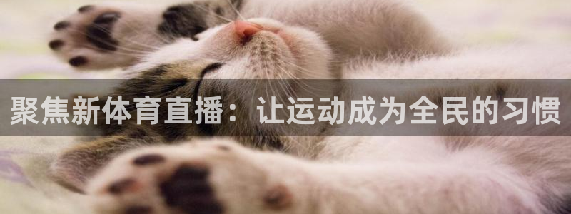 聚焦新体育直播：让运动成为全民的习惯